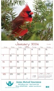 Backyard Birds Wall Calendar