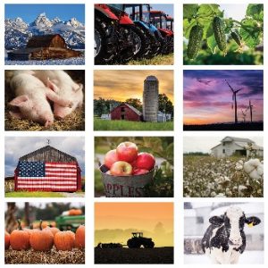 Monthly Scenes of American Agriculture Calendar