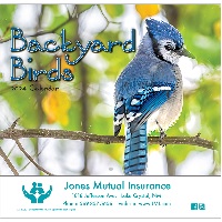Cover of Backyard Birds Yearly Animal Calendars
