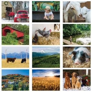 Monthly Scenes of Old Farmers Almanac Country Yearly Animal Calendars