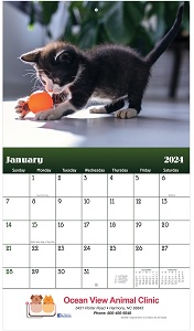 Puppies and Kittens Yearly Wall Calendar